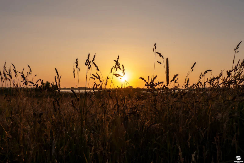 Fotografeer de zomer: Tips voor prachtige zomerse foto's