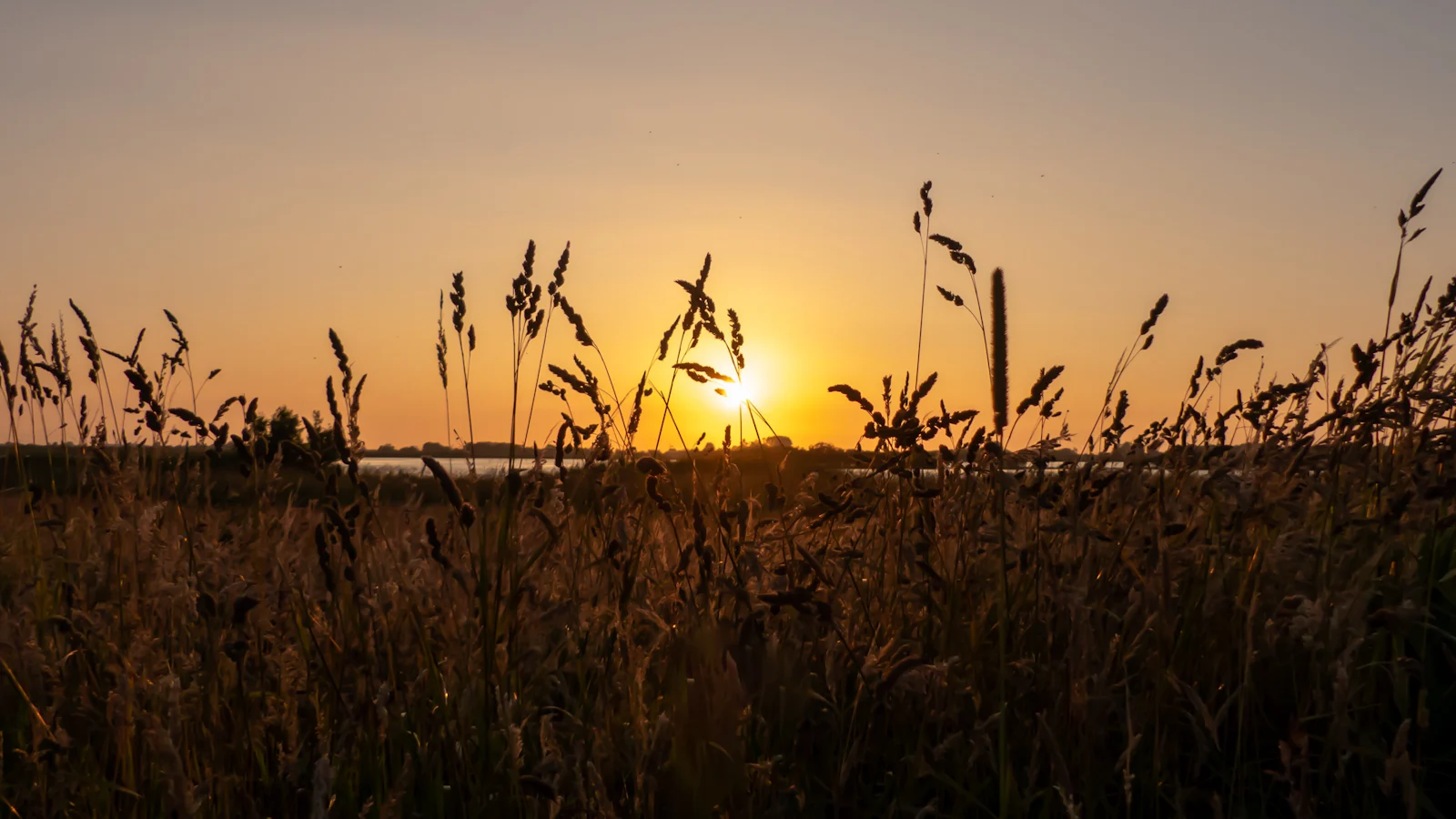 Fotografeer de zomer: Tips voor prachtige zomerse foto's