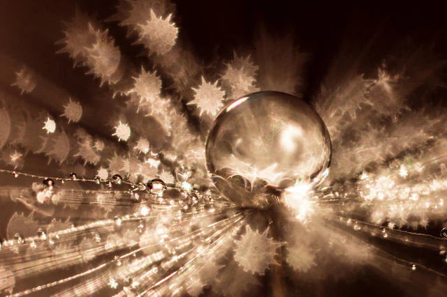 Mooie onscherpte: beheers je bokeh