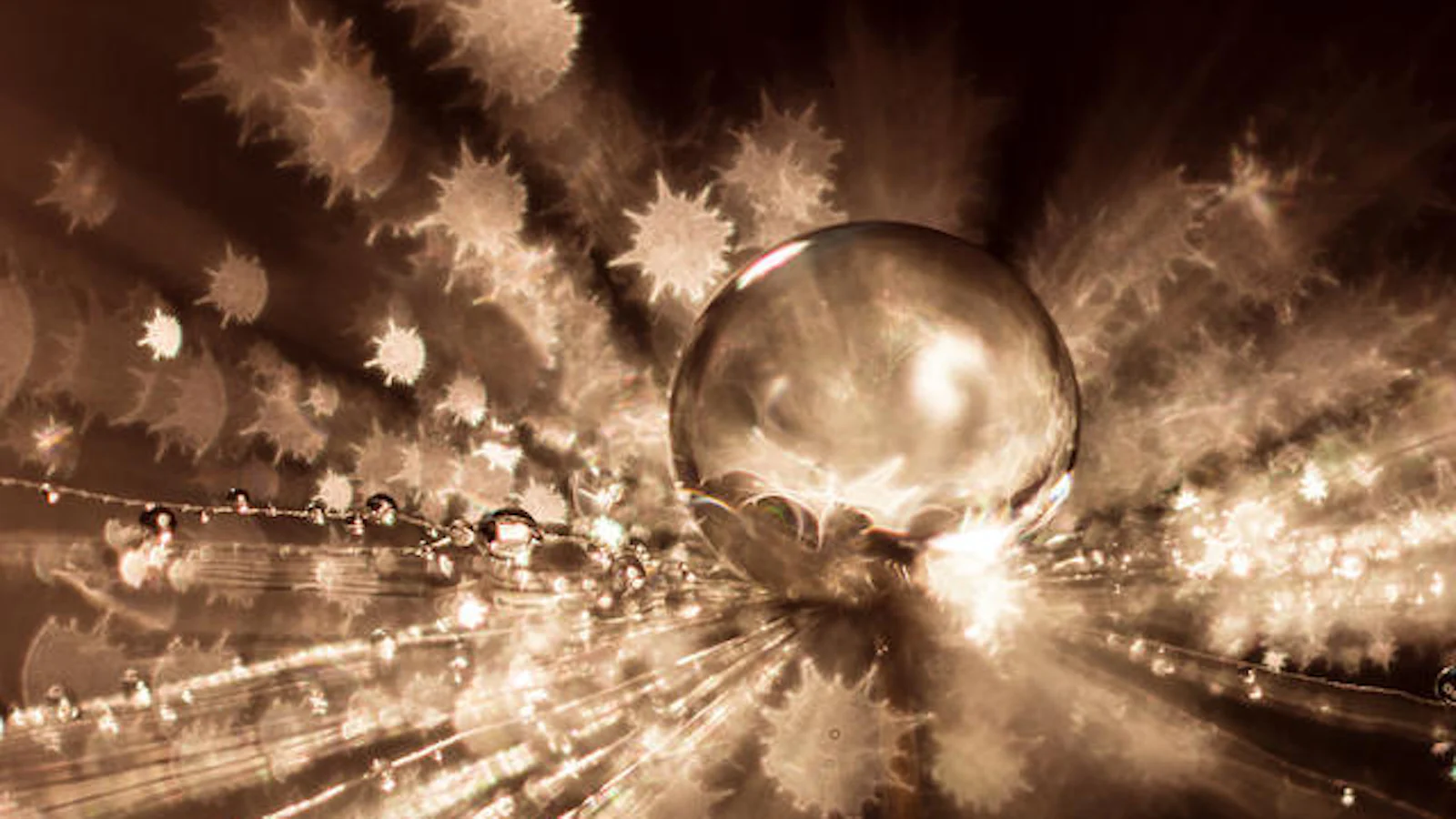Mooie onscherpte: beheers je bokeh