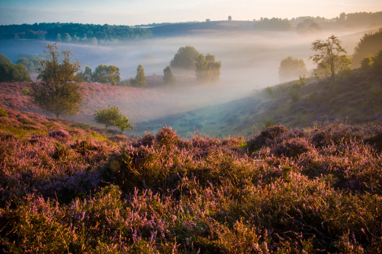 Basiscursus Landschapsfotografie in Nederland