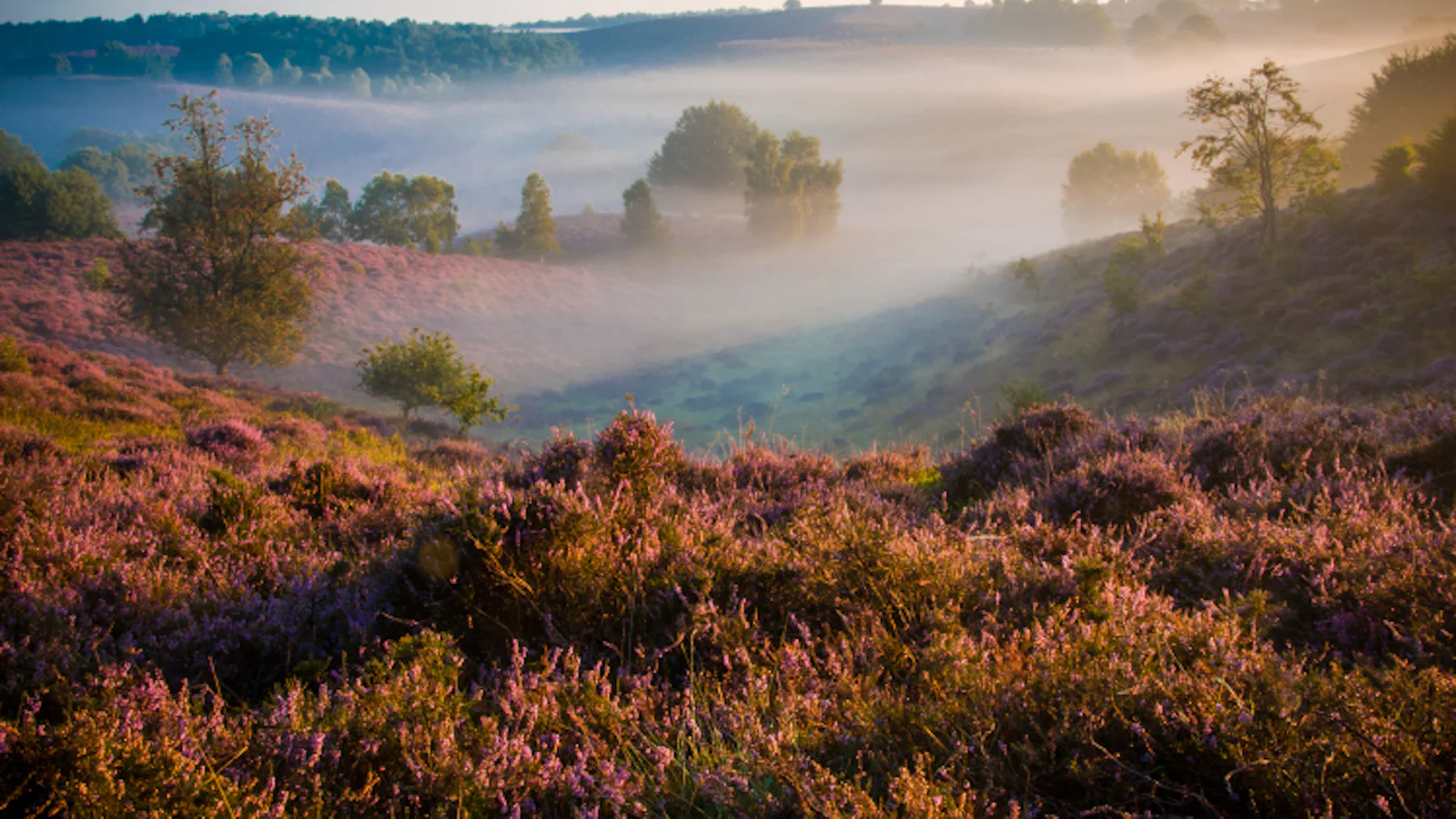 Basiscursus Landschapsfotografie in Nederland