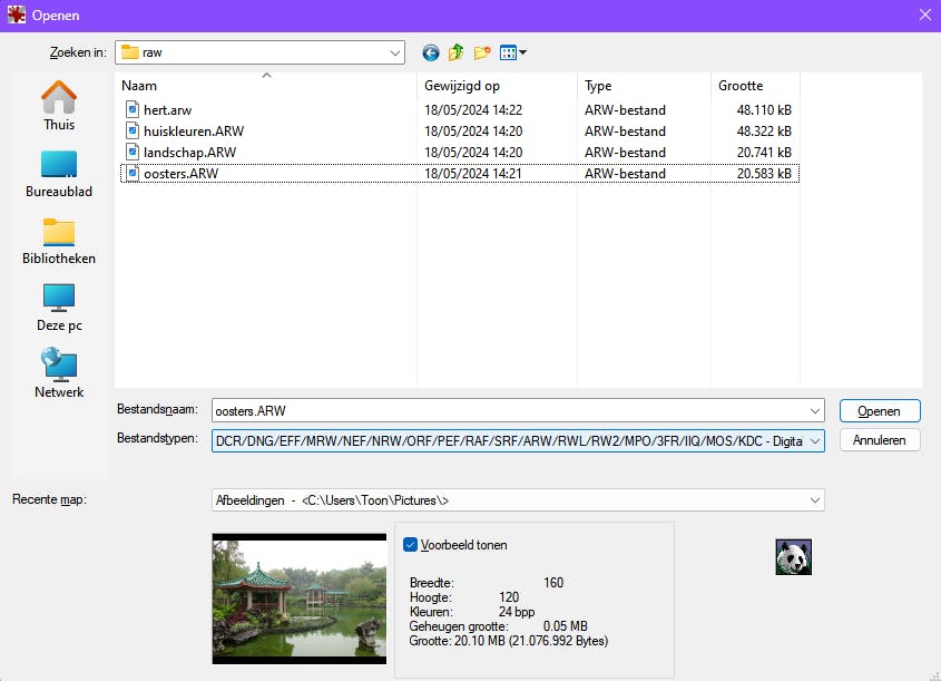 Dankzij de geïnstalleerde plug-ins kan IrfanView ook met diverse soorten raw-bestanden overweg.