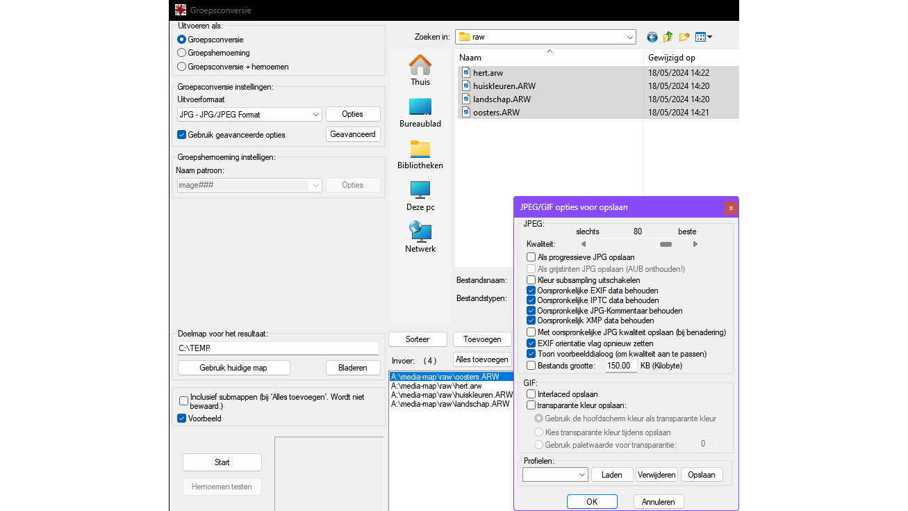 Geen gebrek aan parameters, filters en effecten in de IrfanView-groepsconversie.