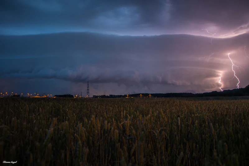 Dit waren de mooiste foto's van juli 2024!