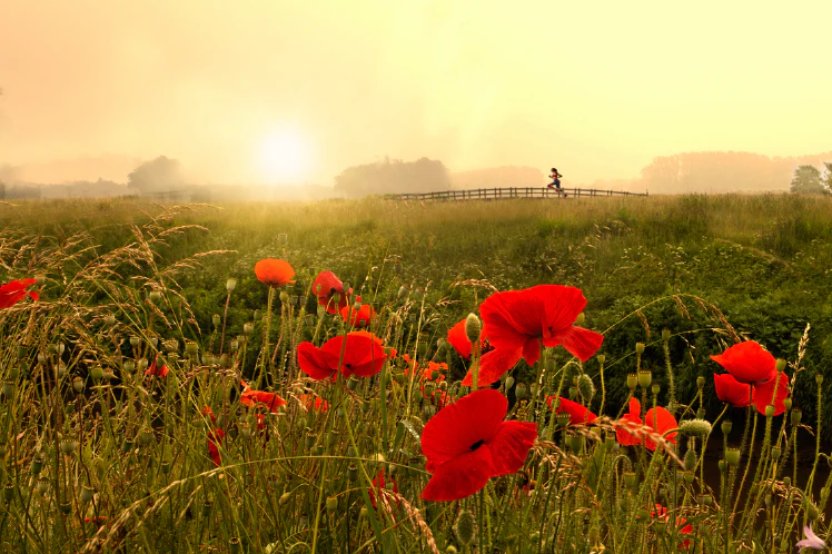 Welke natuur kun je in augustus fotograferen?