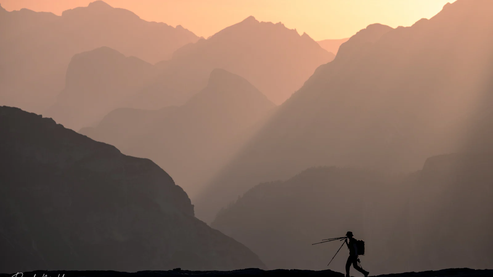 Must see - Documentaires over fotografen