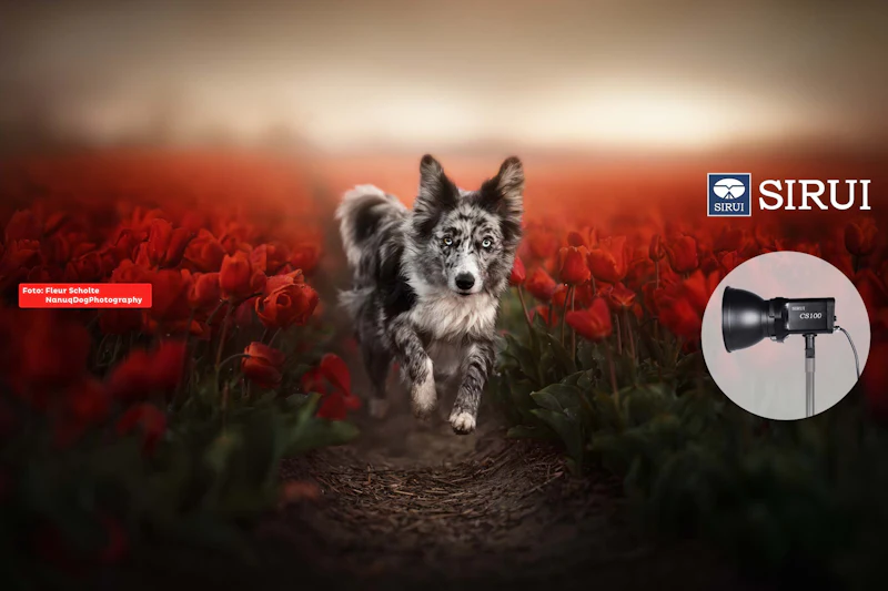 Fotowedstrijd Dieren – doe mee en win