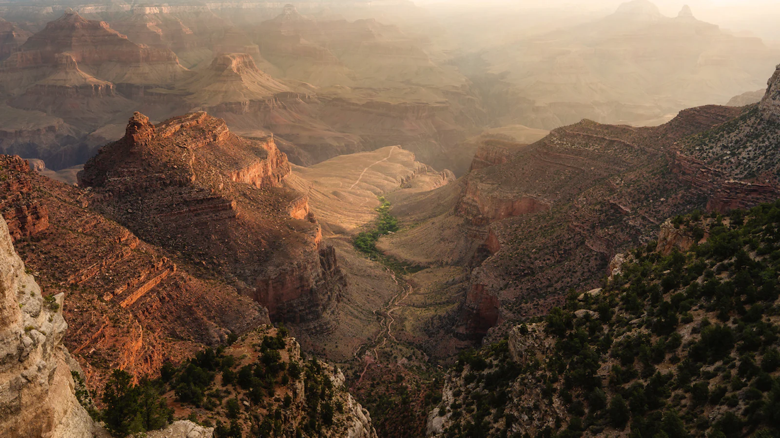 Het is World Photography Day!