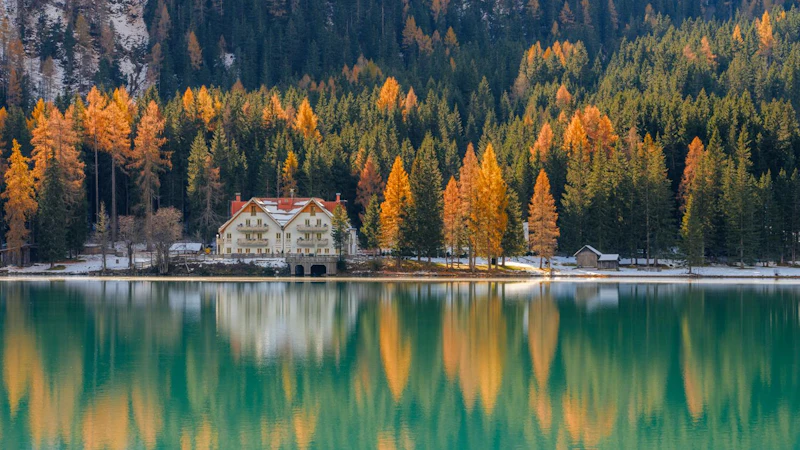 5 tips voor herfstfotografie