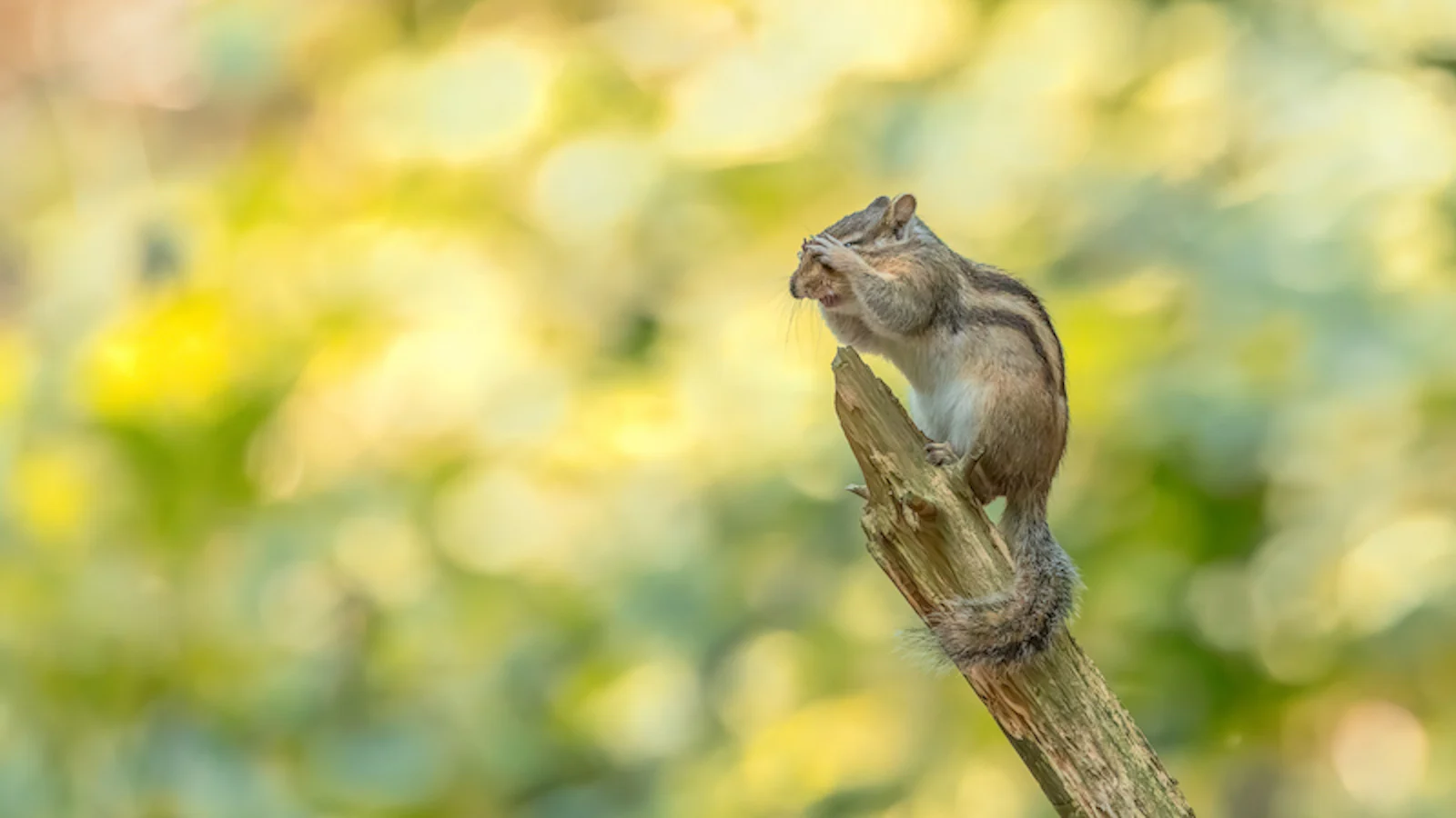 Inspiratie - De lokroep van de natuur!