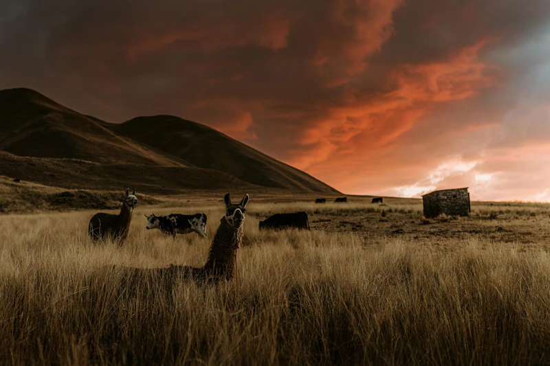 Gezocht: de mooiste fotolocaties van Peru!