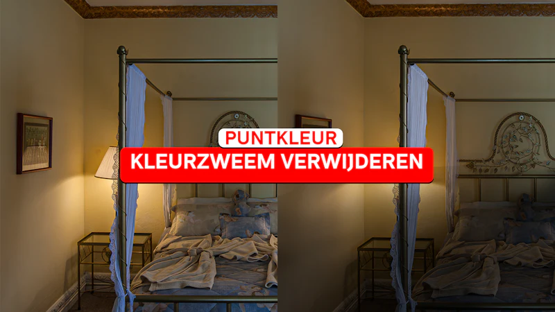 Zo werk je met de Puntkleur tool in Photoshop