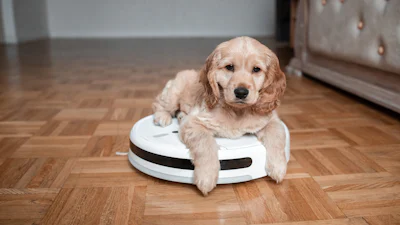 🐶Huisdieren? Dit is de beste robotstofzuiger😺