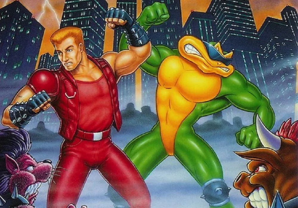 Battletoads Double Dragon