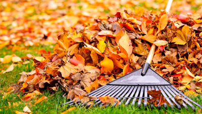 🍂 Voorbereiden op de herfst: deze tuintaken doe je in september