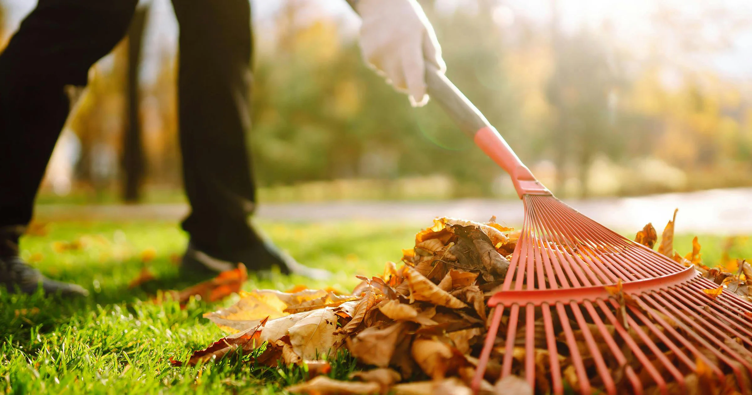 Klaar voor de herfst: onderhoud en tips voor je tuin