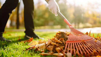 Klaar voor de herfst: onderhoud en tips voor je tuin