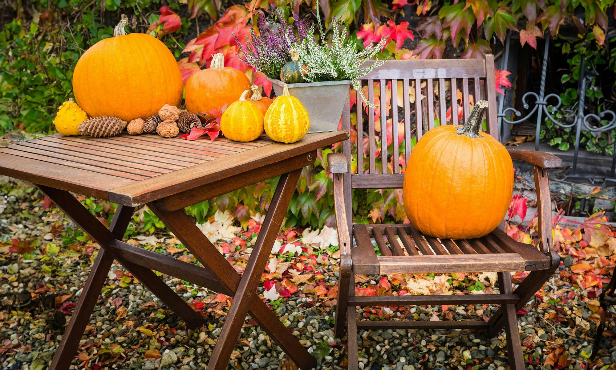 Meubilair in herfsttuin