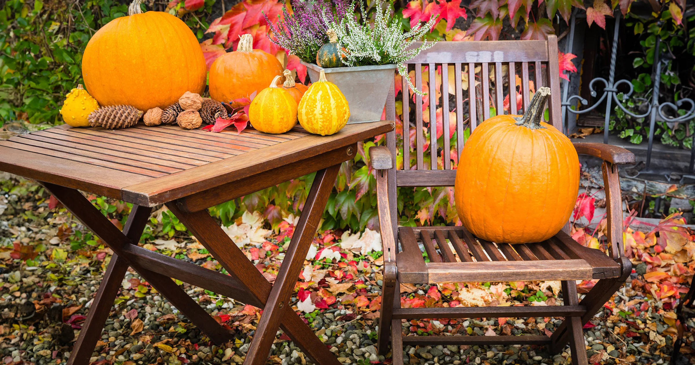 Oktober in je tuin: voorbereiden op de winter