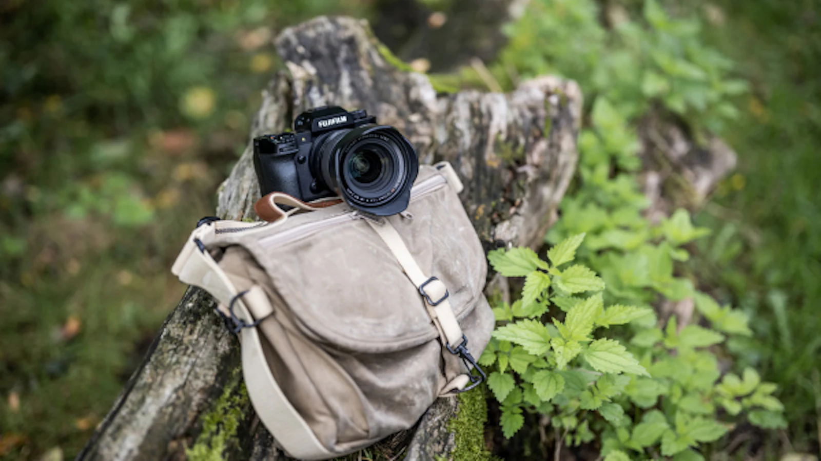 Nieuw - Fujifilm XF 16-55mm F2.8 II en 500mm F5.6