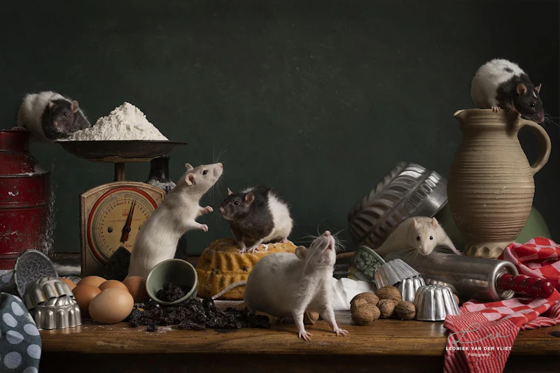 How It’s Made: magisch stilleven