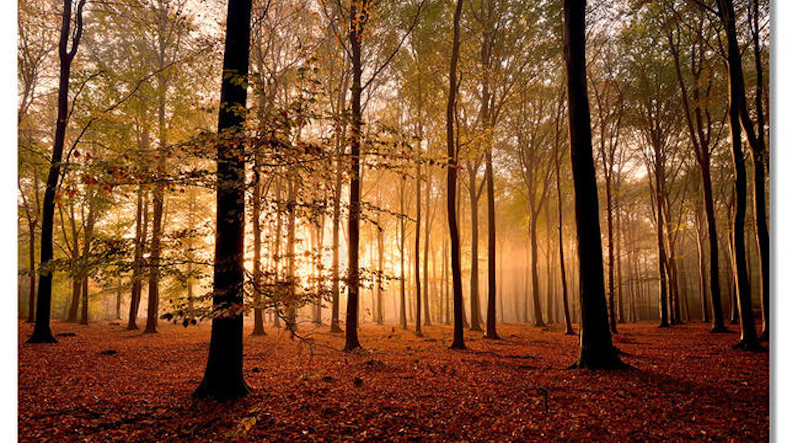 Inspiratie - Landschappen in de herfst