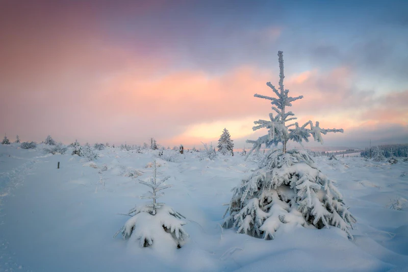 Gezocht: fotografeer sneeuwlandschappen met Zoom.nl!