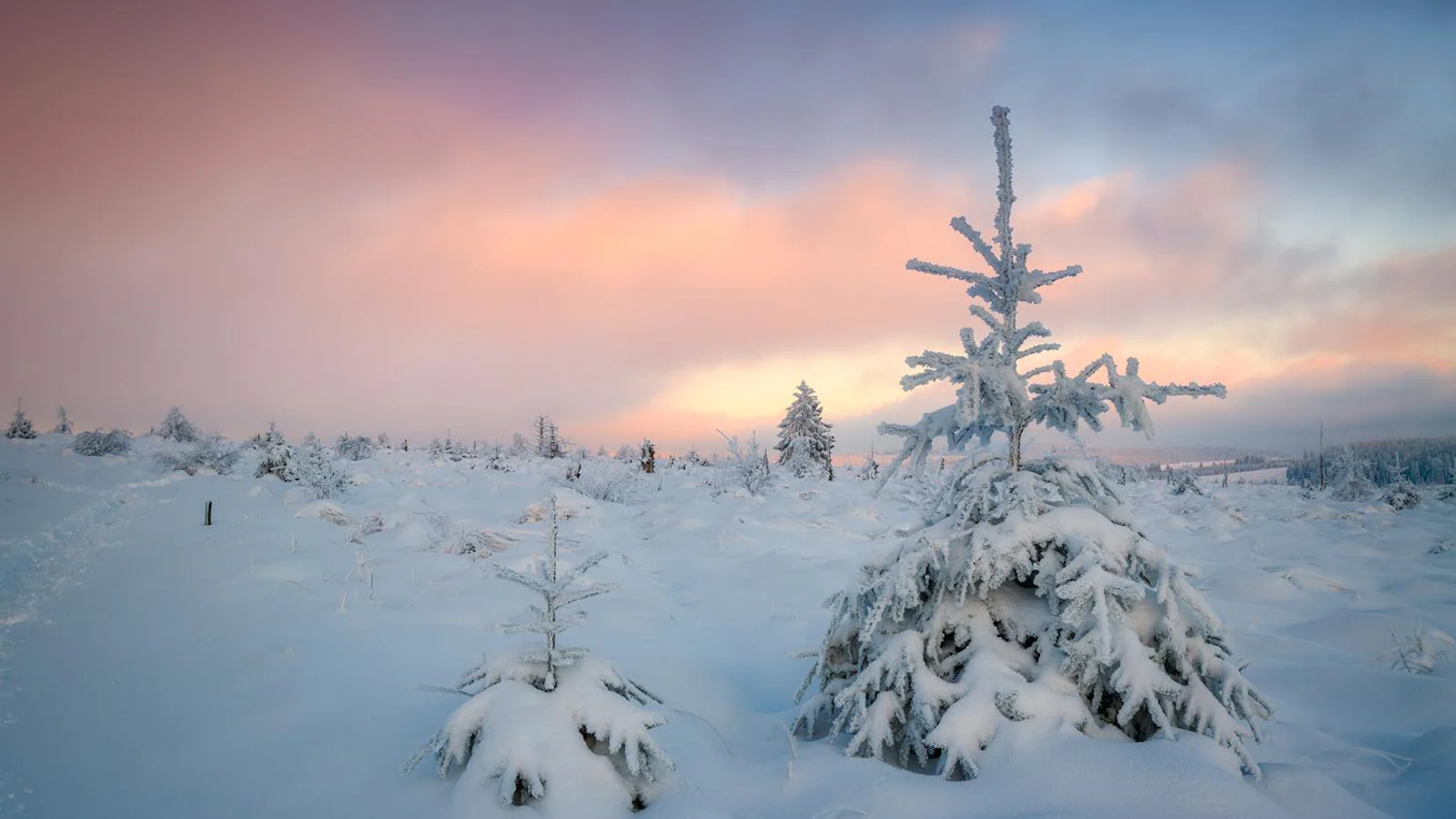 Gezocht: fotografeer sneeuwlandschappen met Zoom.nl!