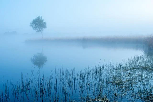 Tips - Fotograferen tijdens het blauwe uur