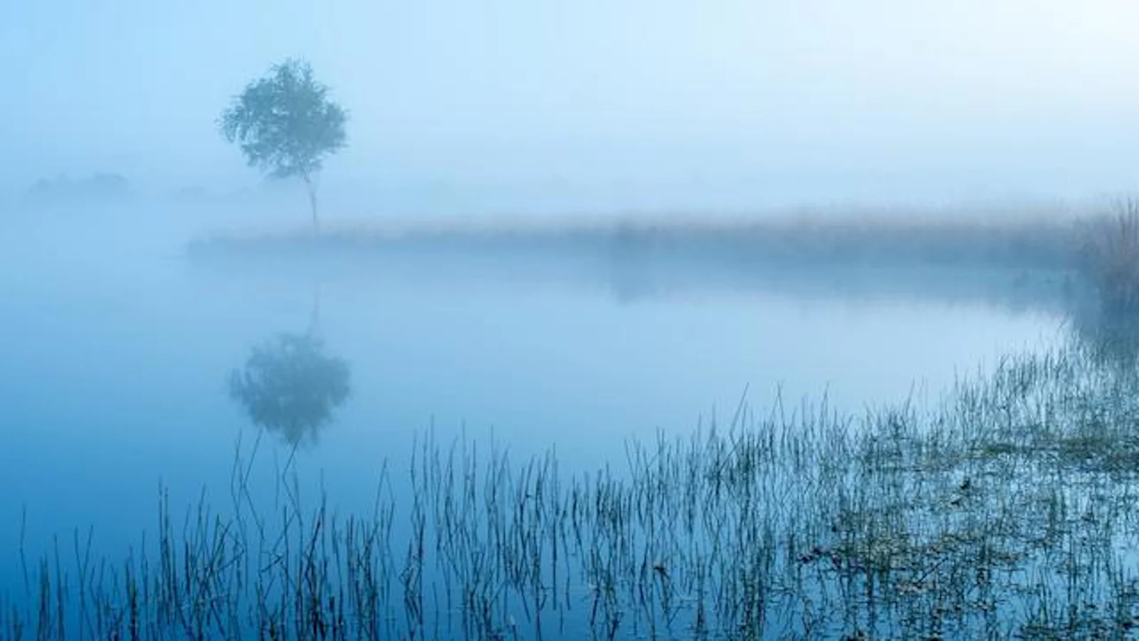 Tips - Fotograferen tijdens het blauwe uur