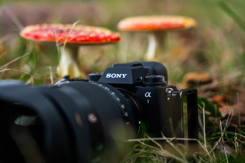 Review - Sony A1 II