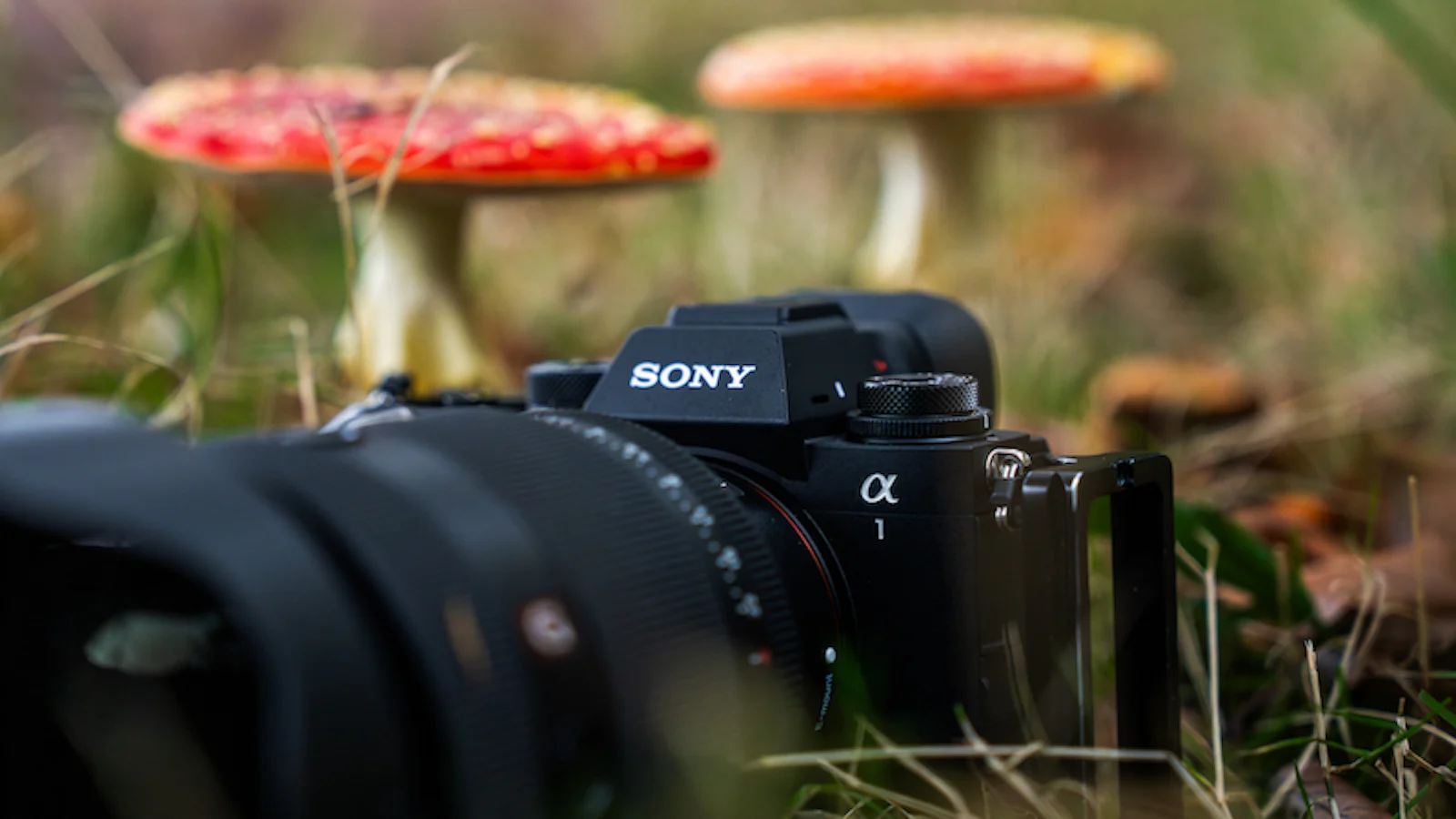 Review - Sony A1 II