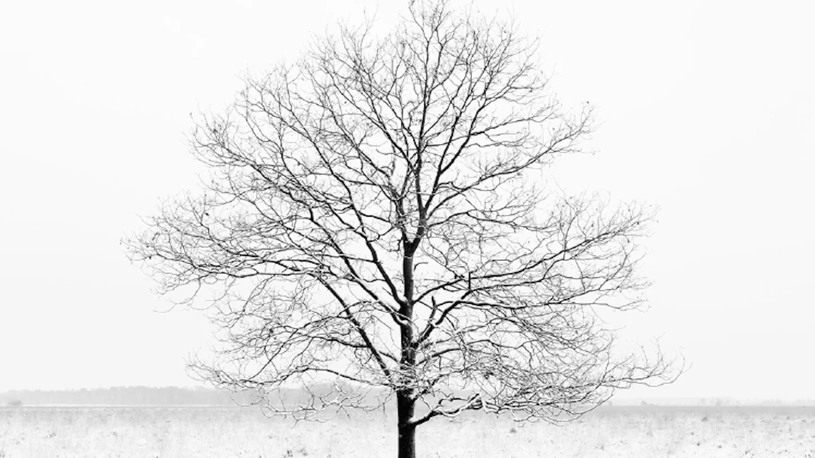 Tips - Natuur fotograferen in de maand december!