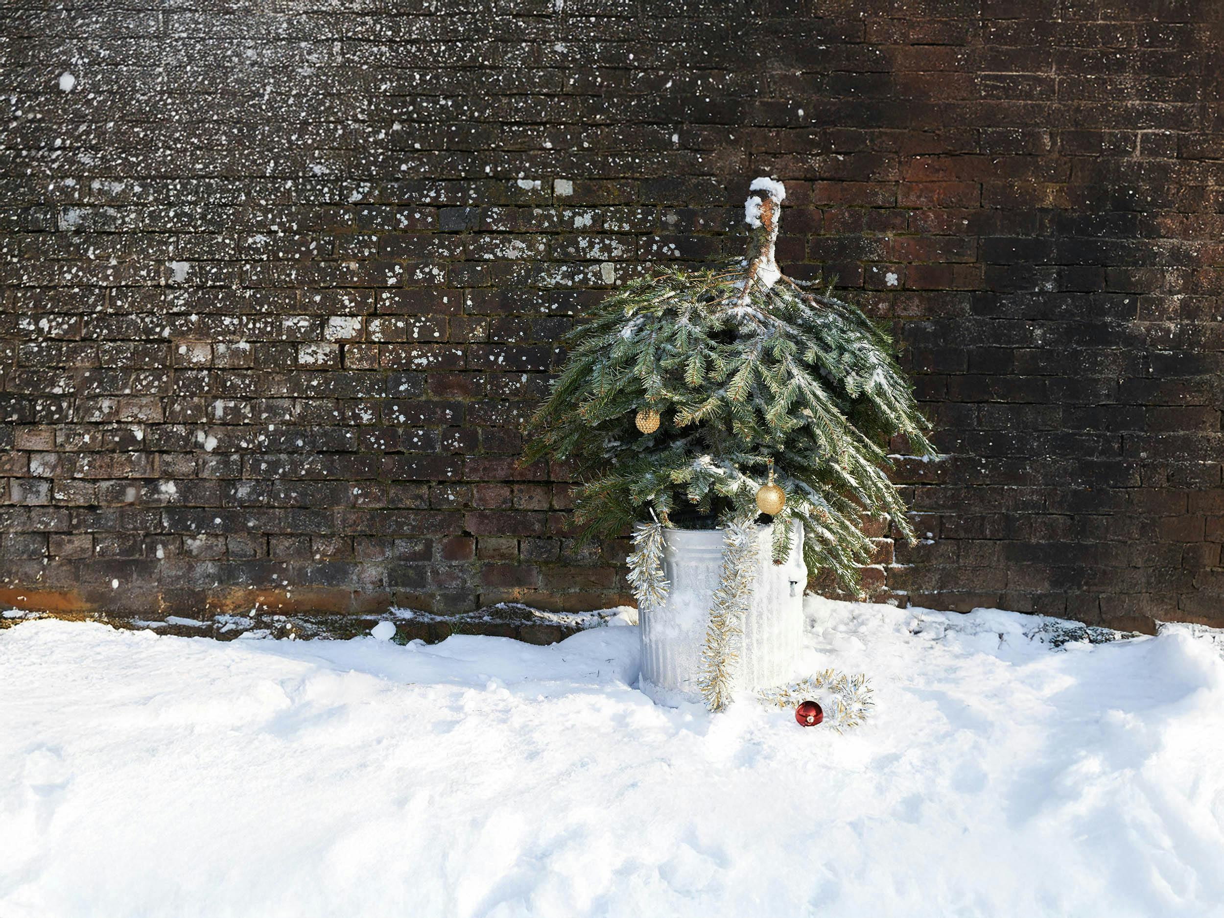 Kerstboom eruit, toch sfeer in huis? Zo doe je dat!