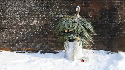 Kerstboom eruit, toch sfeer in huis? Zo doe je dat!