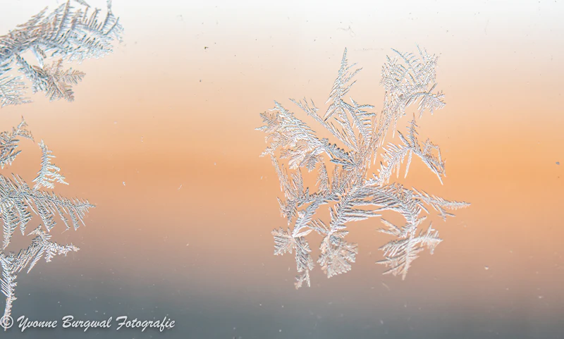 Macro inspiratie voor de wintermaanden!