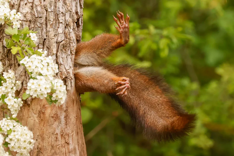 Inspiratie - De grappigste dierenfoto’s van 2024 volgens Nikon