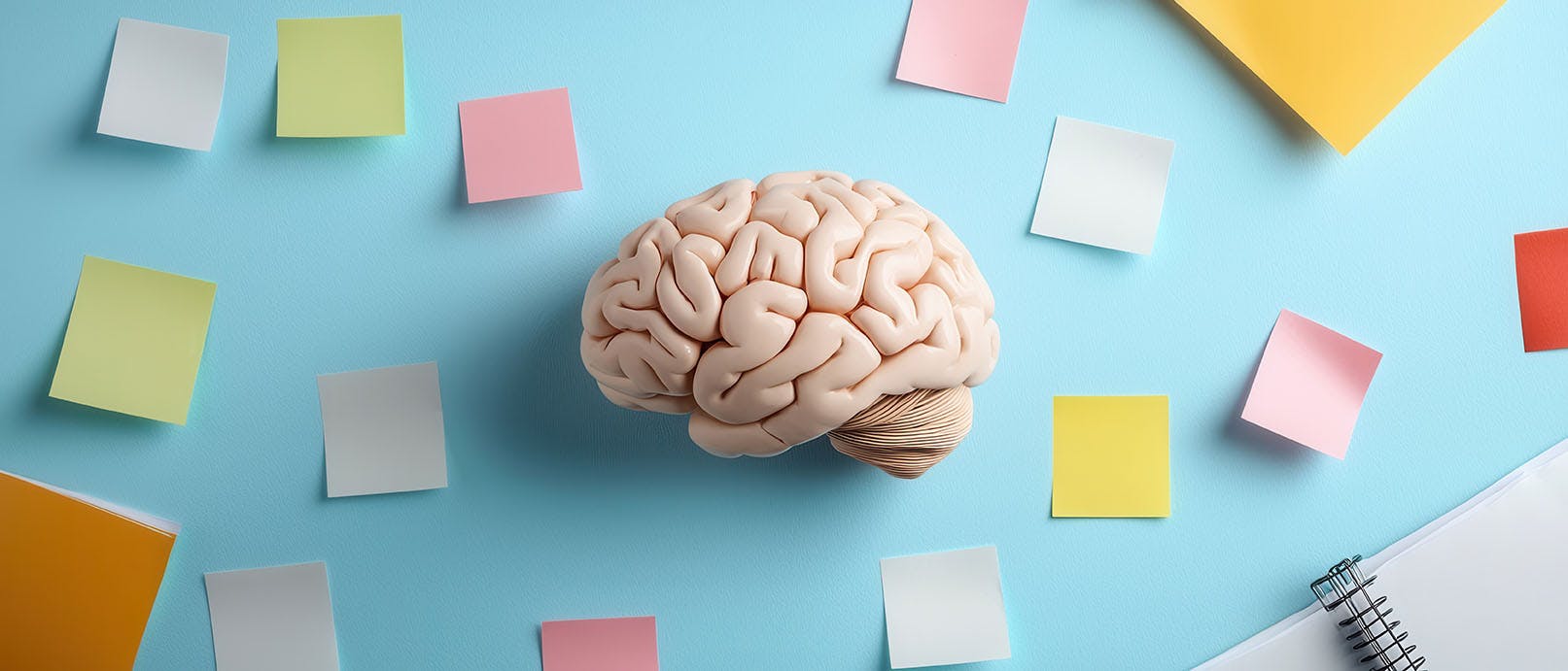 Noteren maar! Handige programma's om je gedachtespinsels in bij te houden