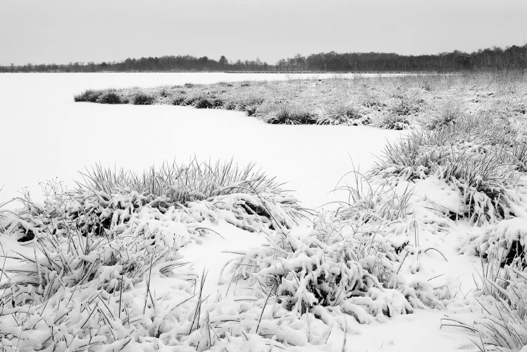 Inspiratie - Ga in januari de natuur in voor deze onderwerpen