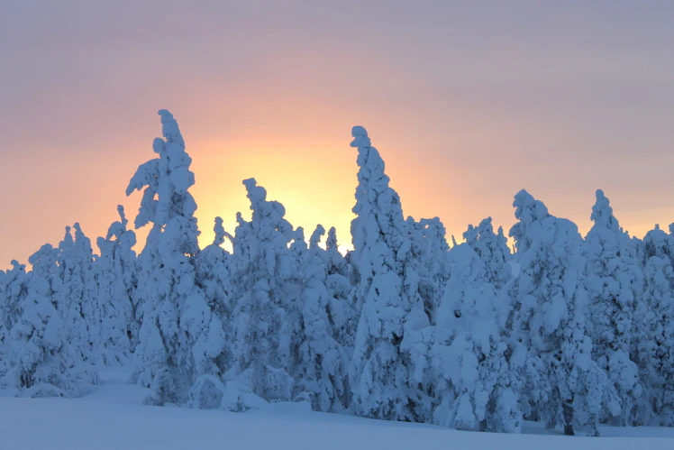 Tips - Sneeuwlandschappen fotograferen!