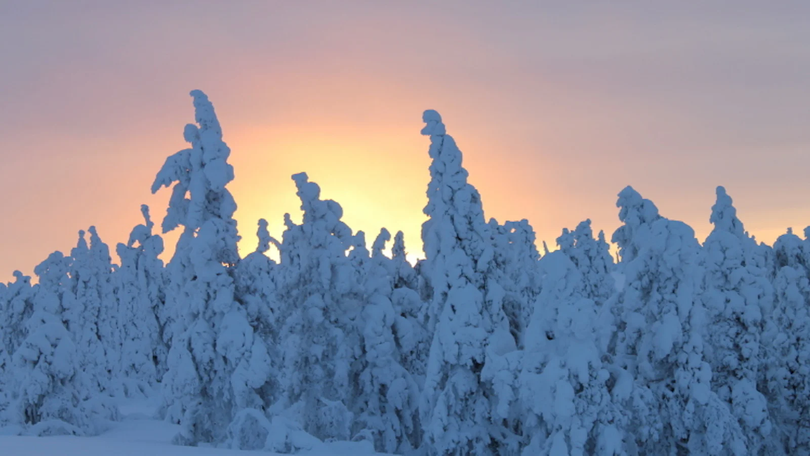 Tips - Sneeuwlandschappen fotograferen!