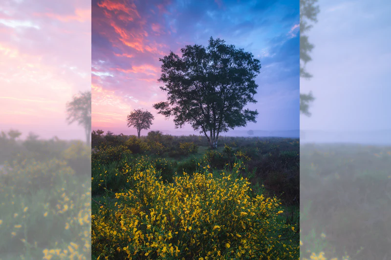 How It's Made: Kleurrijke landschapsfoto's