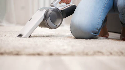 Hier moet je op letten bij de aankoop van een kruimeldief