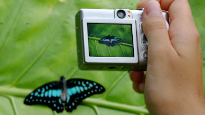 Waar voor je geld: 5 goedkope compactcamera's voor max 160 euro