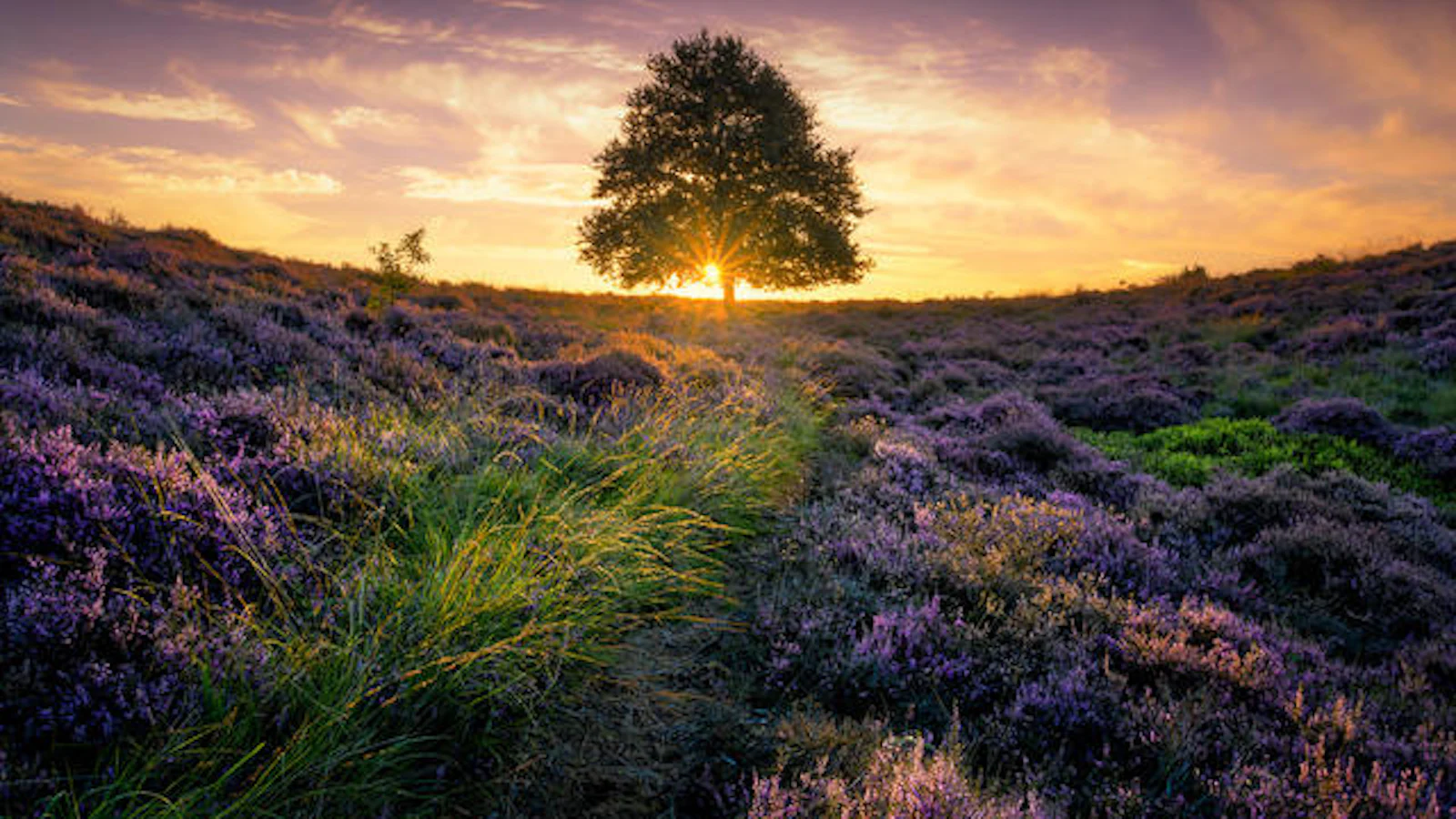 Tips - De zonsondergang vastleggen doe je zo!