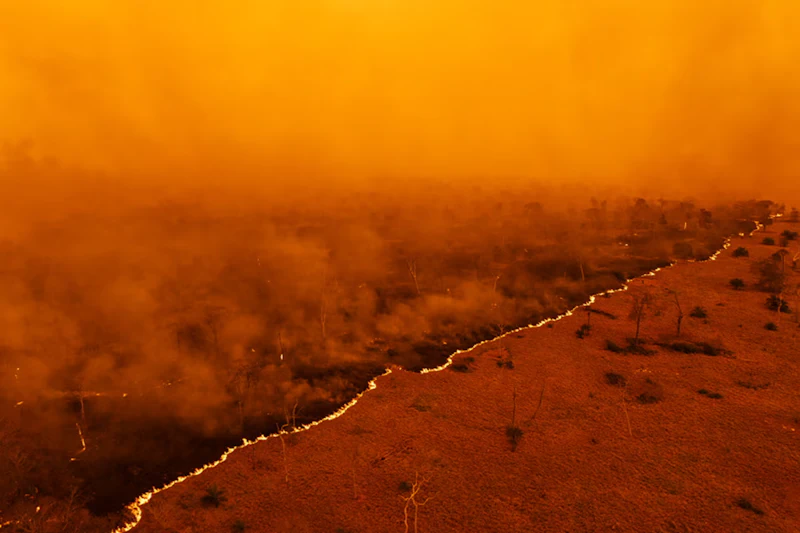 Sony World Photography Awards 2025