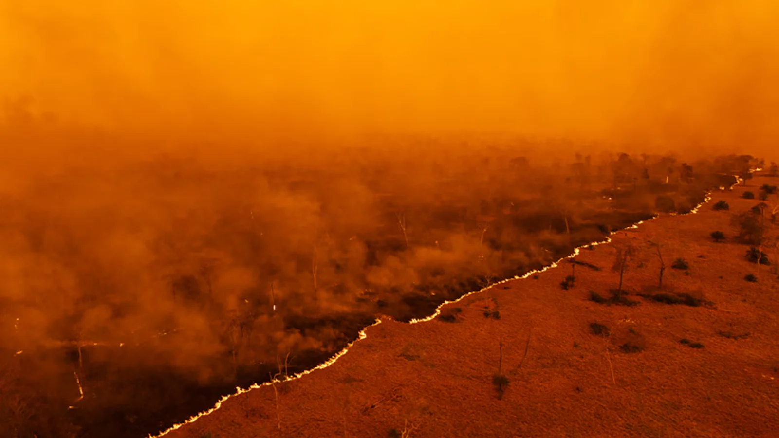 Sony World Photography Awards 2025