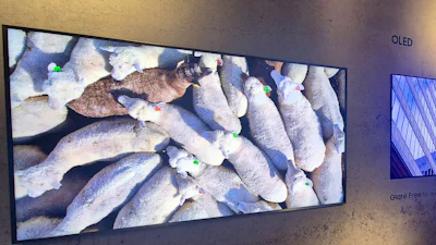 Samsung tv-nieuws: antireflectie op meer modellen en intrede The Frame Pro