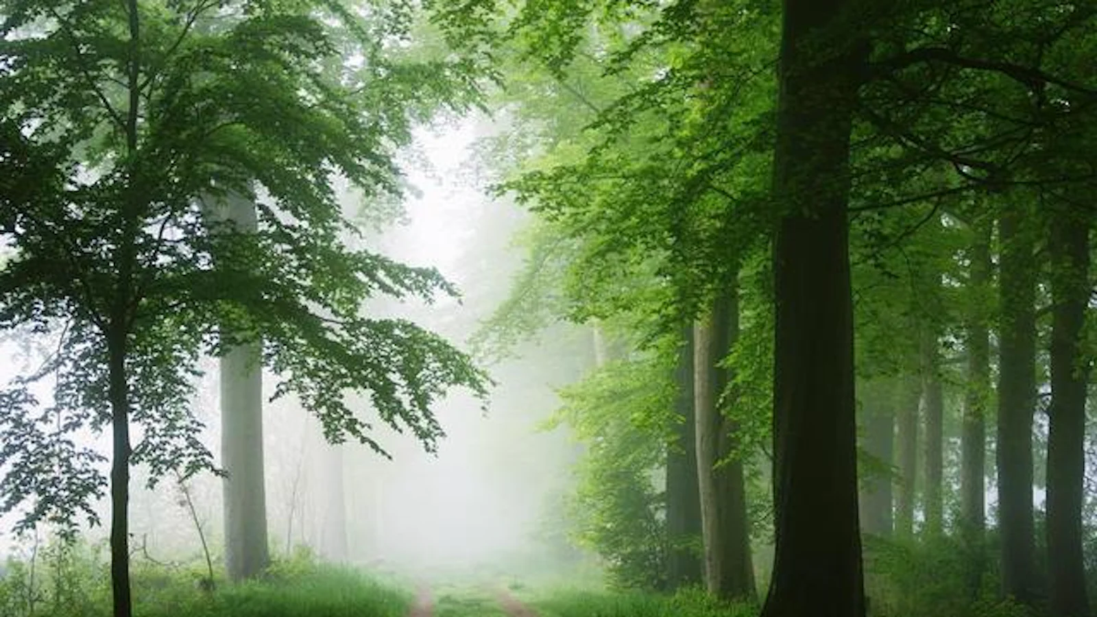 Deze weersomstandigheden kun je verwachten in de lente!